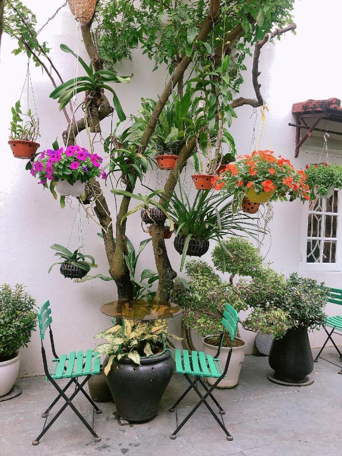 Green Garden Homestay Хойан Экстерьер фото